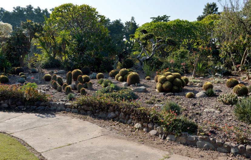 Cactus Garden, Panchkula, Haryana, India